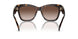 300613 - Tortoise - Brown Gradient