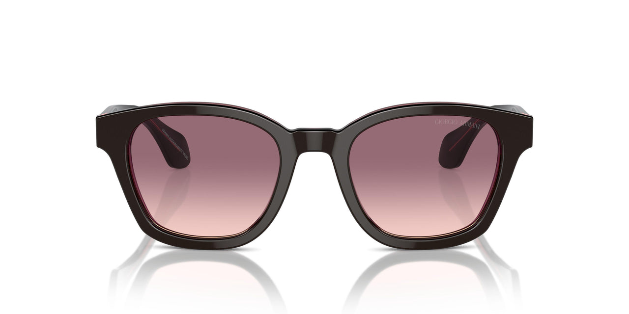 60888D - Brown - Pink Gradient Violet