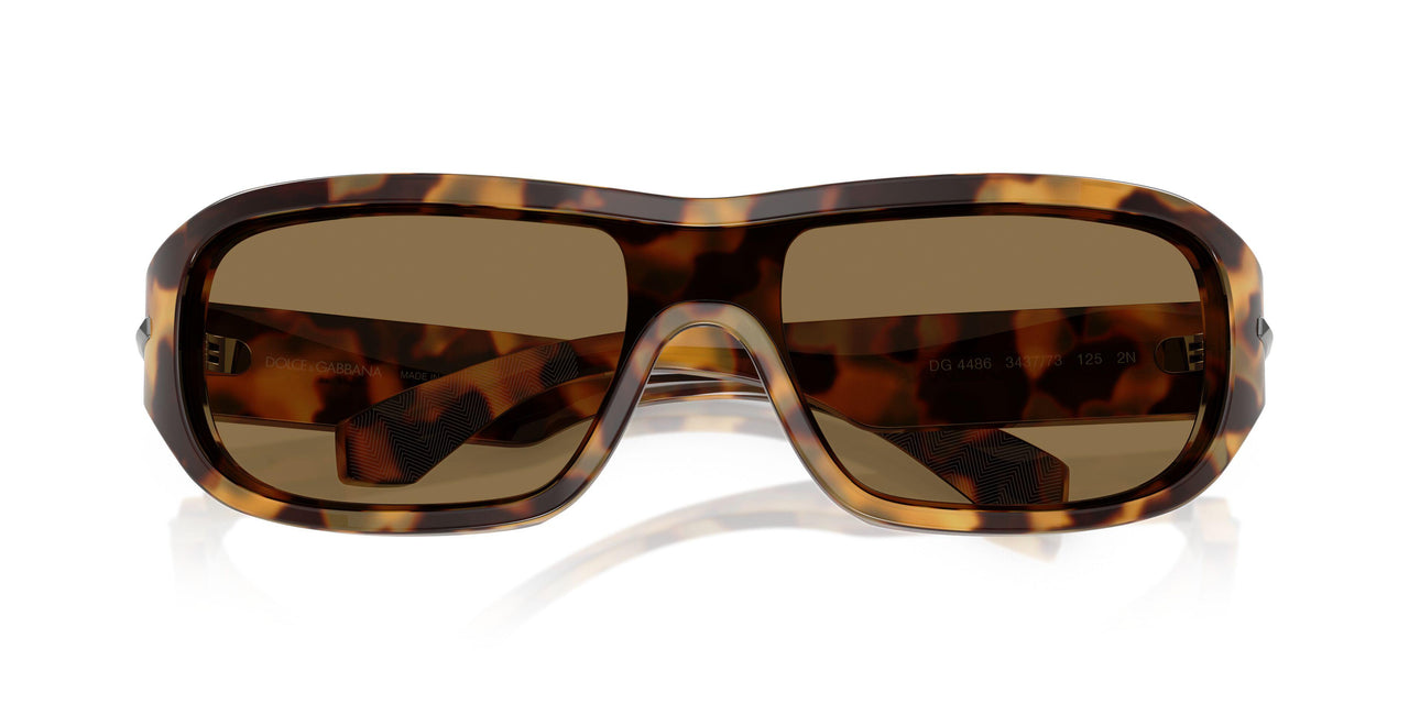 343773 - Tortoise - Dark Brown