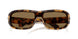 343773 - Tortoise - Dark Brown