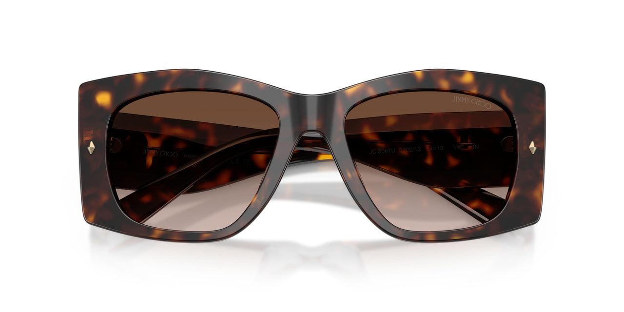 500213 - Tortoise - Brown Gradient