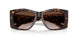 500213 - Tortoise - Brown Gradient