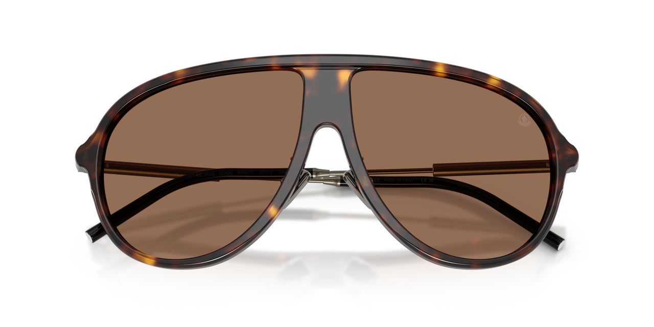 300273 - Tortoise - Brown Solid