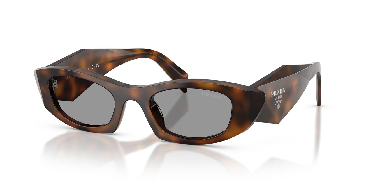 20D50Q - Havana - Grey
