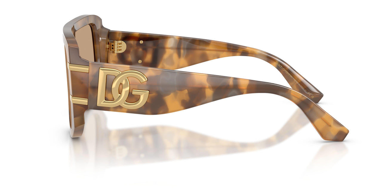 349663 - Tortoise - Light Brown