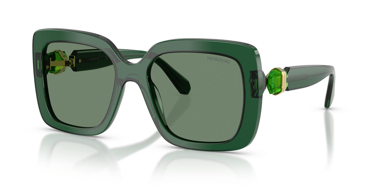 104587 - Green - Transition Green