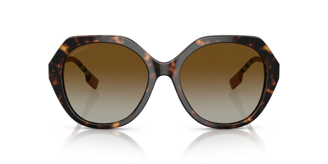 4017T5 - Havana - Sfumato Marrone Polar