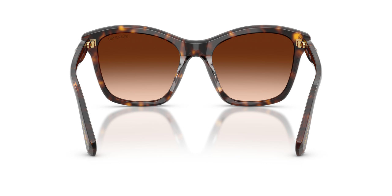 100274 - Tortoise - Gradient Brown