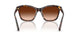 100274 - Tortoise - Gradient Brown