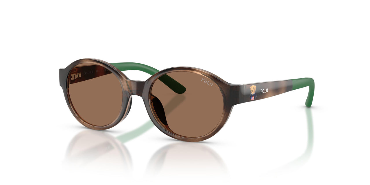 500373 - Tortoise - Dark Brown