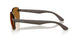 6124BB - Brown - Polar Bronze