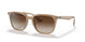616613 - Light Brown - Gradient Brown