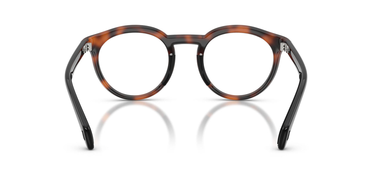 5039 - Tortoise
