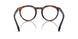 5039 - Tortoise