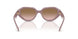 549511 - Brown - Brown Peach Gradient