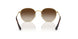 223/13 - Gold - Brown