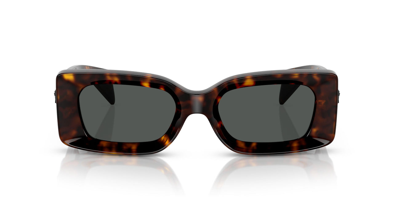 108/87 - Tortoise - Dark Grey