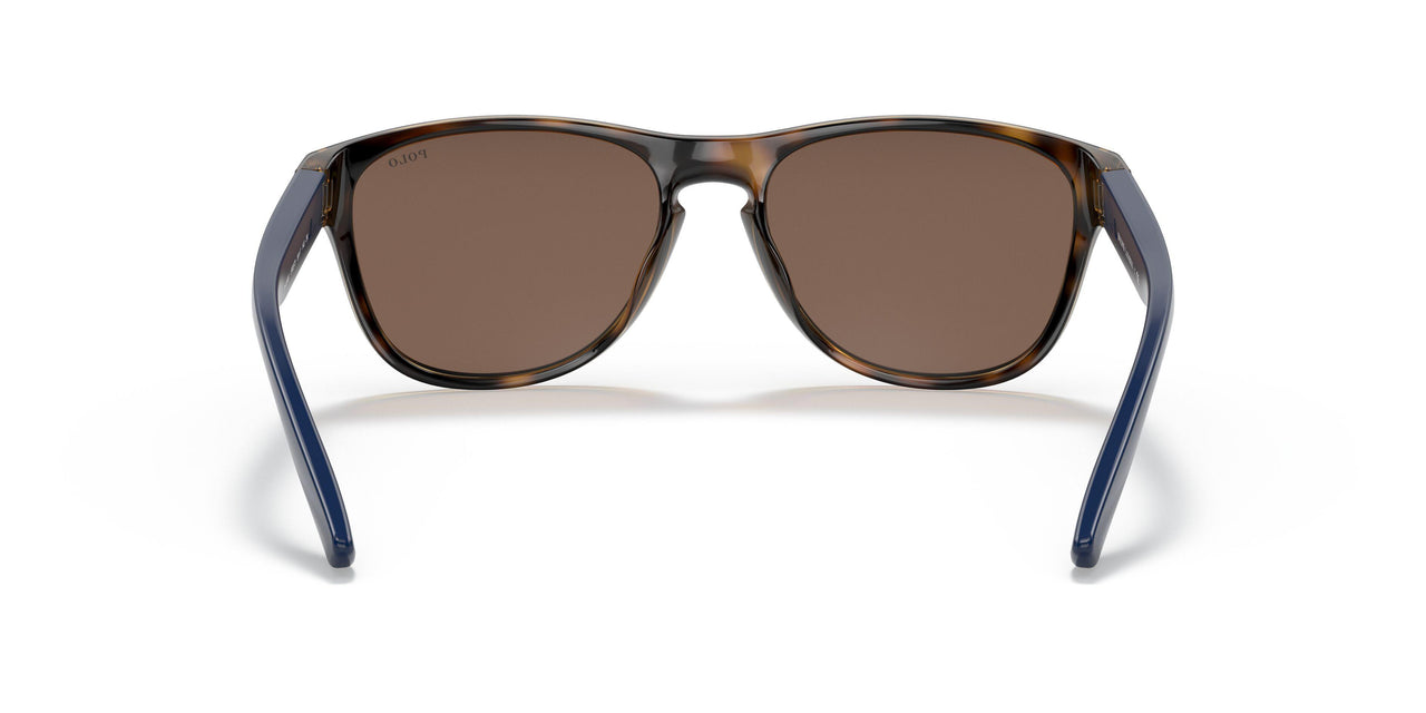500373 - Havana - Brown