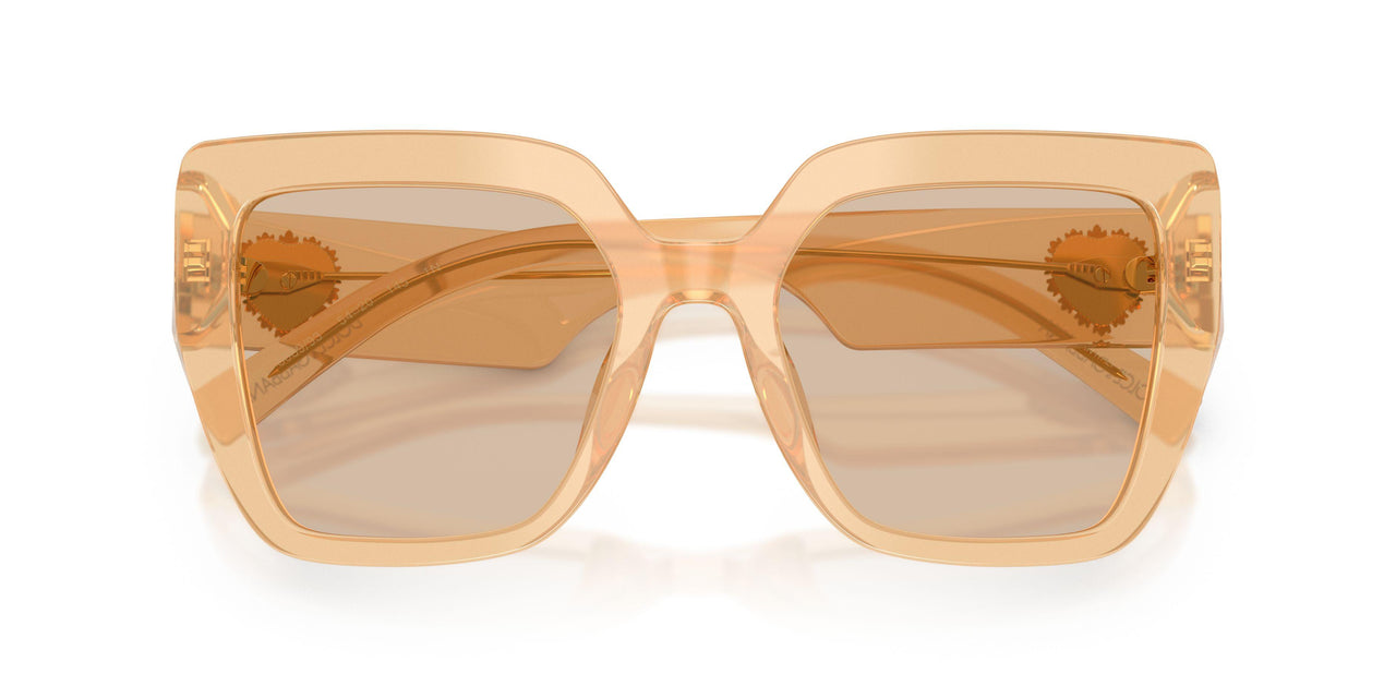308993 - Brown - Light Brown