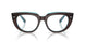 8366 - Brown - Clear