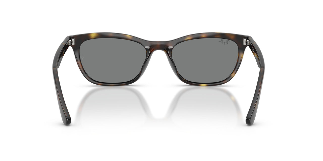 710/87 - Tortoise - Dark Grey