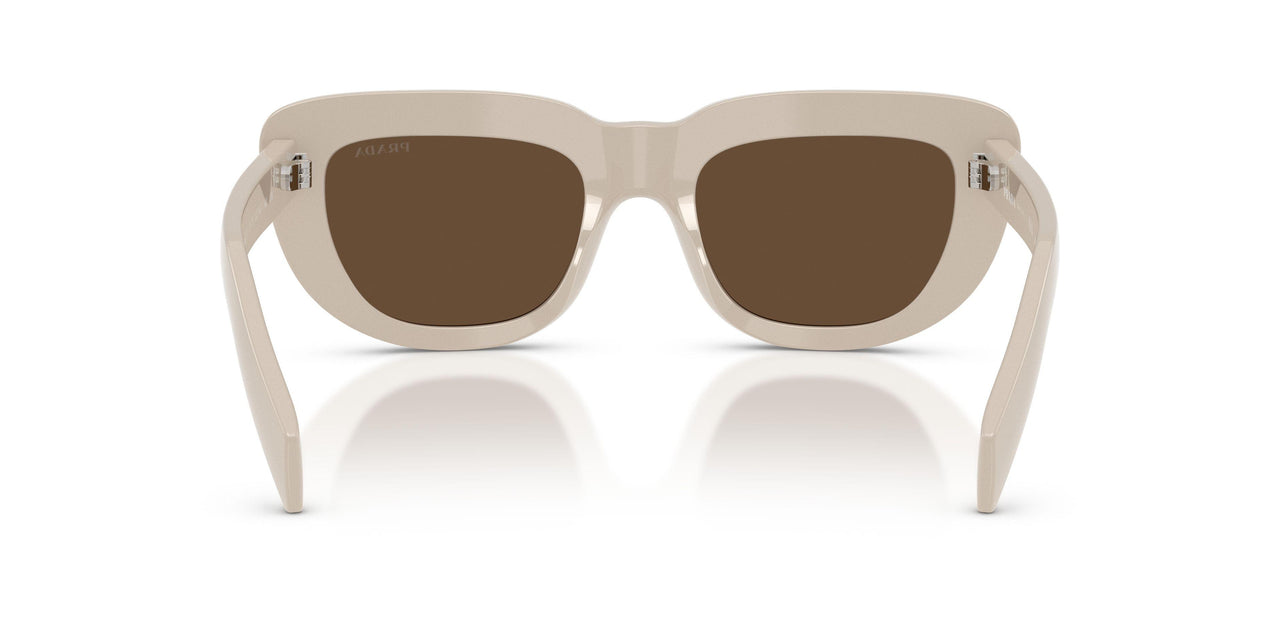 23O9L1 - Juniper Tortoise / Grey