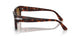 24/33 - Tortoise - Brown