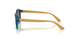 319073 - Blue - Dark Brown