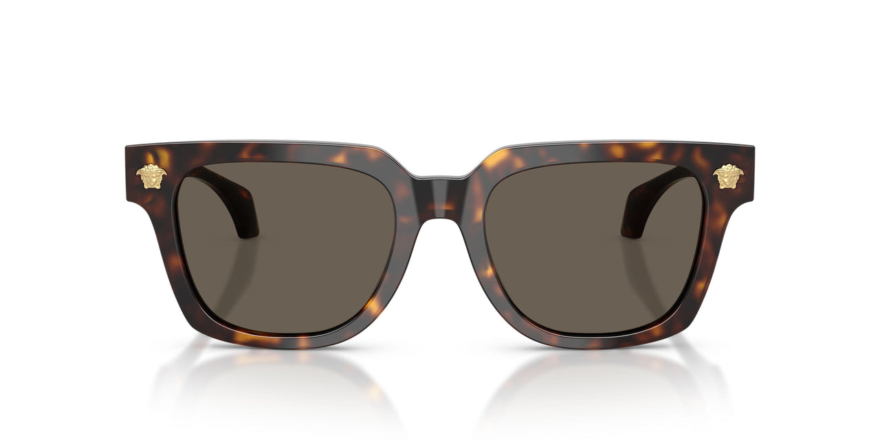 108/3 - Tortoise - Brown