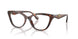 4031 - Tortoise