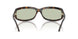 3006/2 - Tortoise - Green Solid