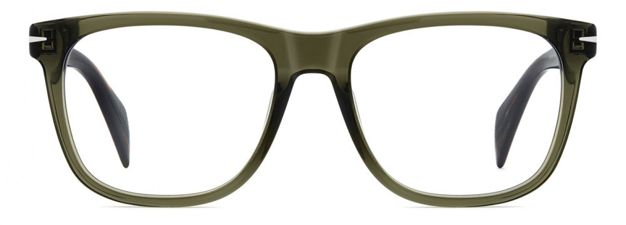 01QA-00 - OLIVE HVN
