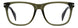 01QA-00 - OLIVE HVN