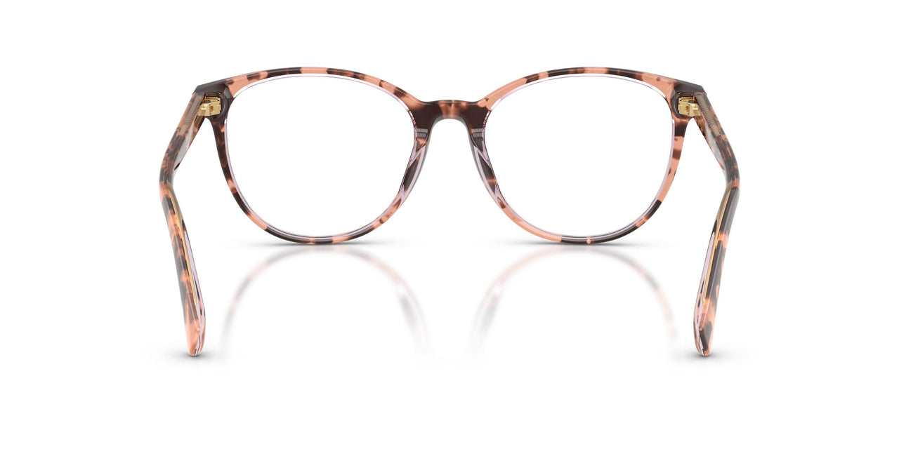 6295 - Tortoise
