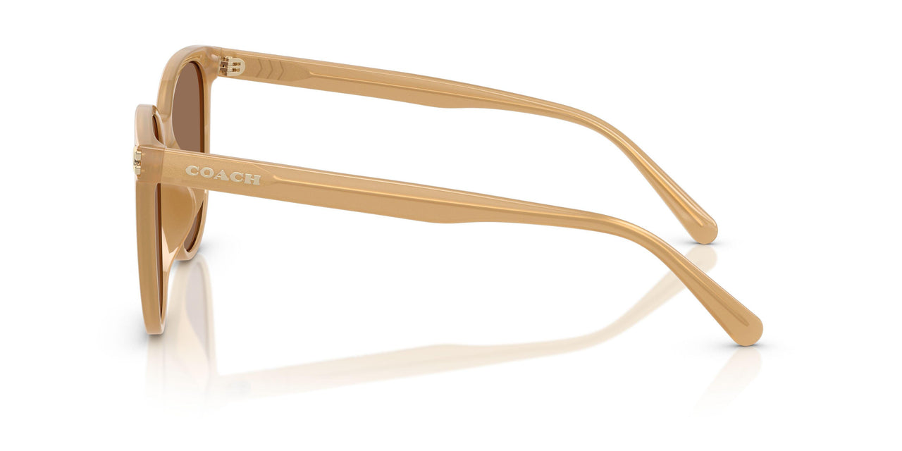 585473 - Brown - Brown Solid