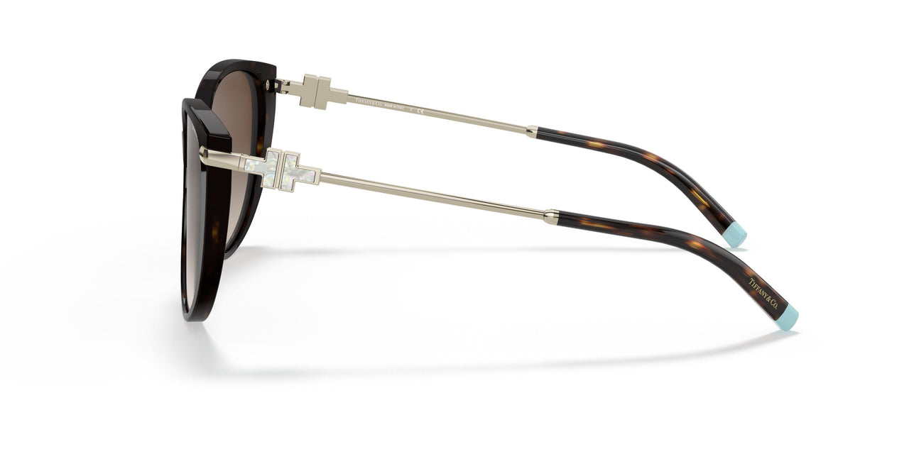 80153B - Havana - Brown Gradient