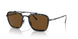 801557 - Black - Brown Polar