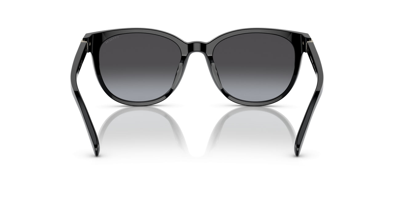 50028G - Black - Grey Gradient