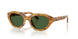 618571 - Tortoise - Dark Green