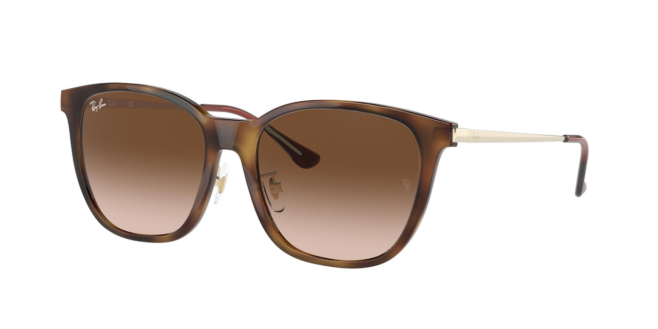 Ray-Ban 4333D Sunglasses