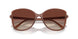 354813 - White - Brown Sunset Gradient