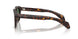 300271 - Tortoise - Solid Dark Green
