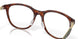 802802 - Tortoise