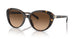 512074 - Havana - Brown Gradient
