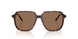 300273 - Tortoise - Brown Solid