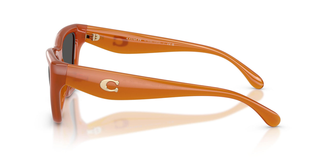 593087 - Orange - Wine Solid