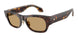 502673 - Tortoise - Brown