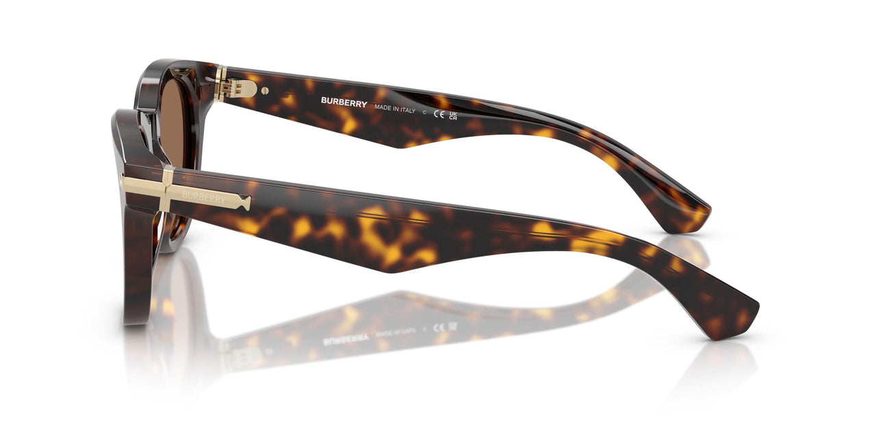 300273 - Brown - Dark Brown