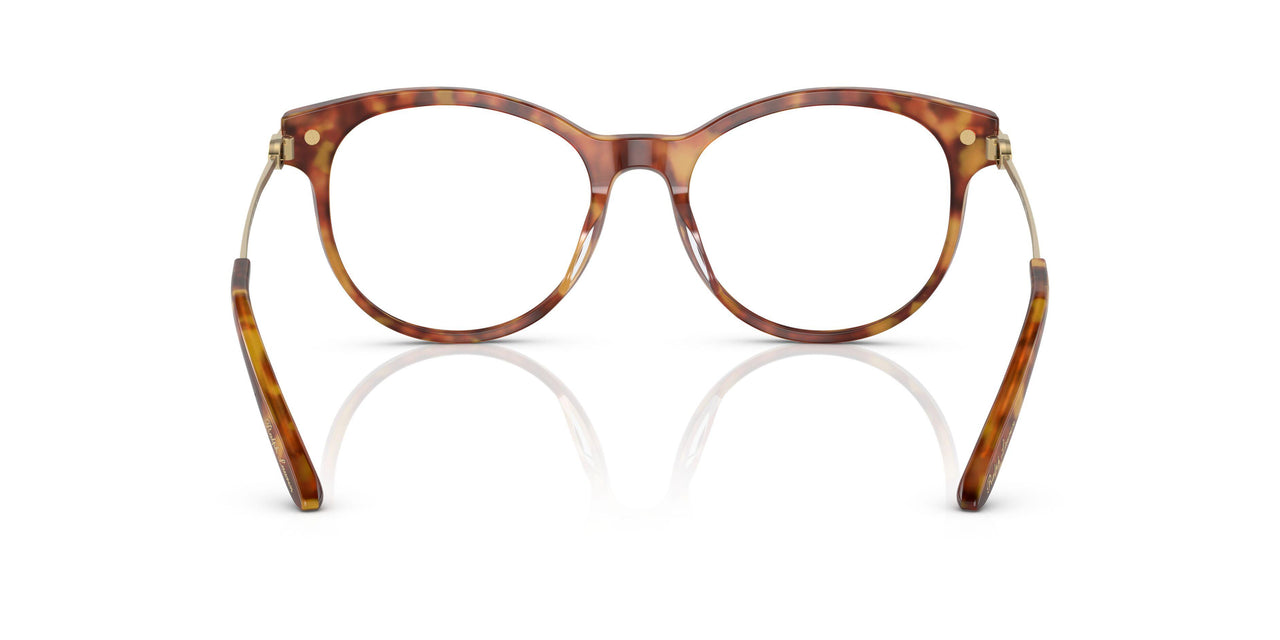 5023 - Tortoise