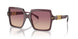 520968 - Violet - Brown Gradient Violet